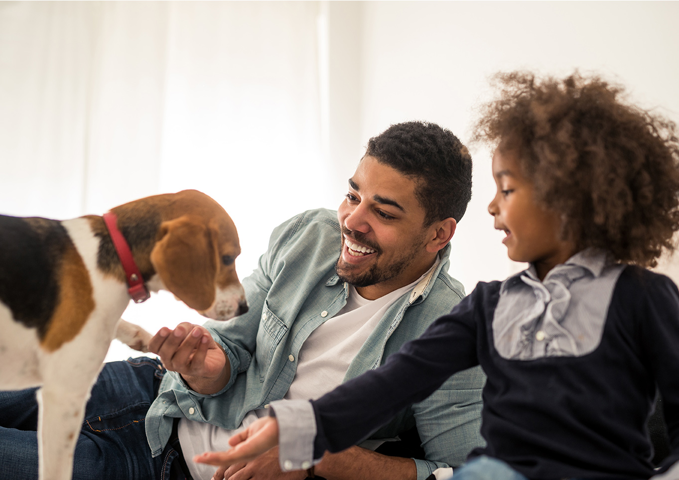 father and daughter play with beagle puppy