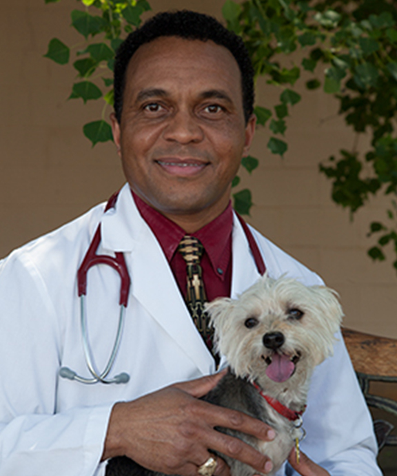 Dr. Todd McCoy